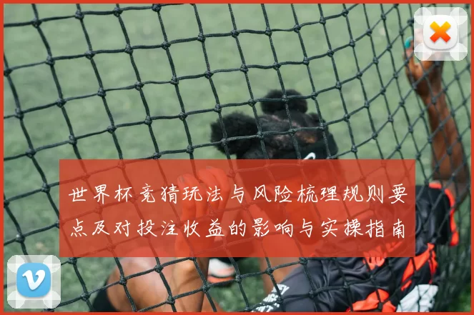 世界杯竞猜玩法与风险梳理规则要点及对投注收益的影响与实操指南