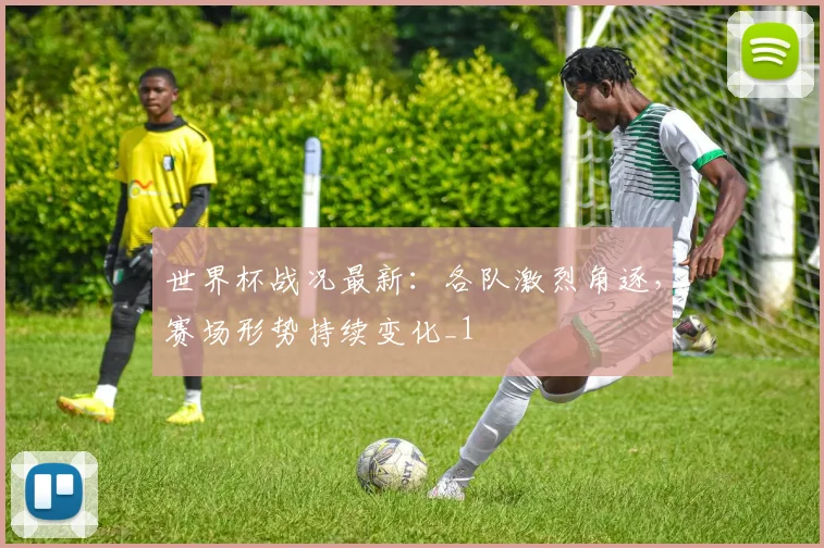 世界杯战况最新:各队激烈角逐,赛场形势持续变化_1