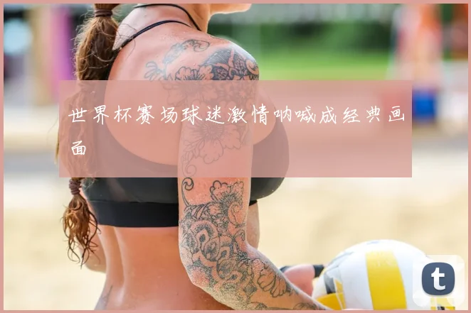 世界杯赛场球迷激情呐喊成经典画面