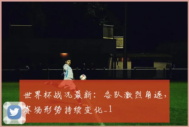 世界杯战况最新：各队激烈角逐，赛场形势持续变化_1